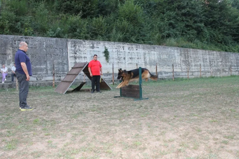 ANIMALI-CENTRO-Cesinali-006-1920w