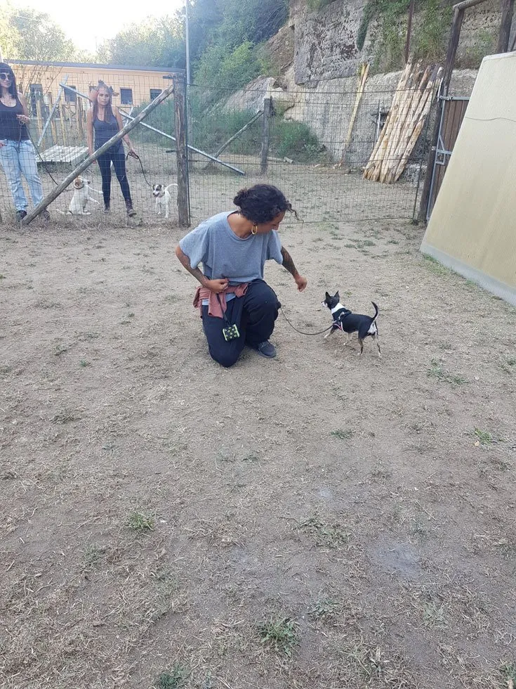 ANIMALI-CENTRO-Cesinali-069-1920w