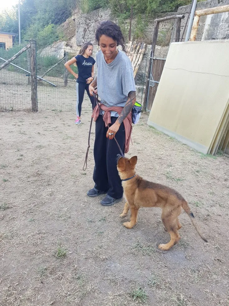 ANIMALI-CENTRO-Cesinali-070-1920w