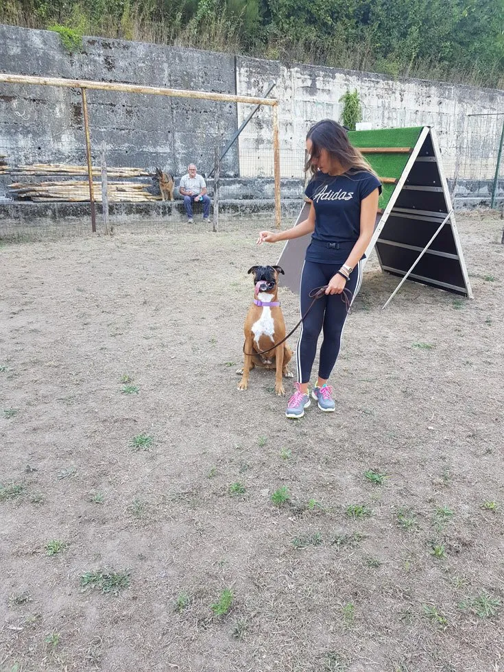 ANIMALI-CENTRO-Cesinali-073-1920w