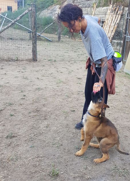 ANIMALI-CENTRO-Cesinali-078-626h