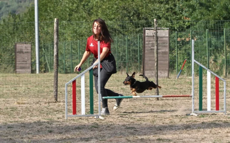 ANIMALI-CENTRO-Cesinali-088-1920w